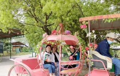 齐心协力，团结一致 昆山稳卓苏州西山团建之旅